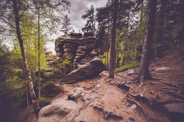 Duszniki-Zdrój jakie góry warto odwiedzić na niezapomniane wędrówki